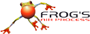Frog's Air Process